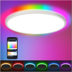 Aphyni 24W Smart Ceiling Lights Fixture In Ajman