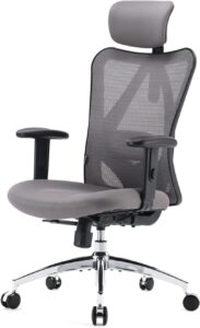 SIHOO M18-M165 Ergonomic Office Chair In Dubai